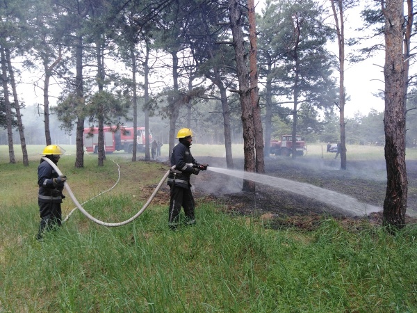 Херсонщина: ліквідовано пожежу на території Каховського лісництва    